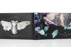 offset-print-buying-wisdom